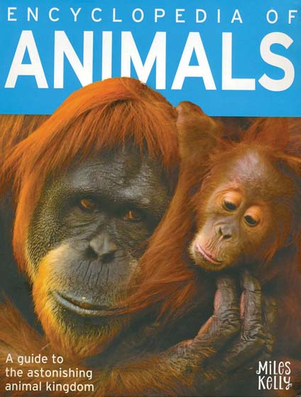 Encyclopedia of Animal (MK)