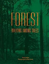 Forest : Walking among trees