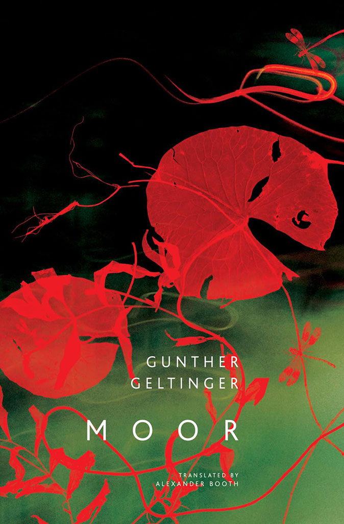 Moor (HB)