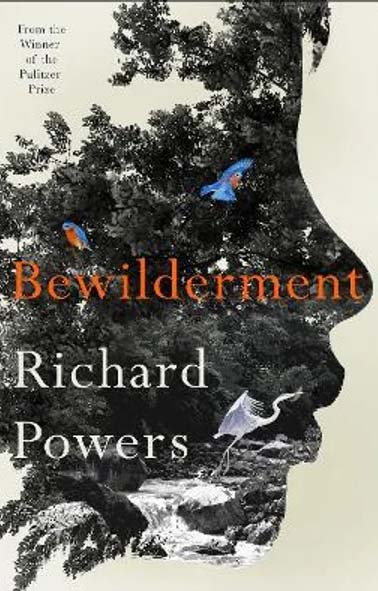 Bewilderment