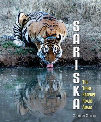 Sariska : The Tiger Reserve Roars Again