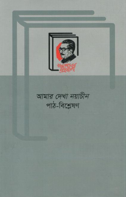 আমার দেখা নয়াচীন : পাঠ-বিশ্লেষণ
