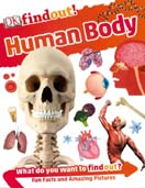 DK Findout Huban Body (Big)