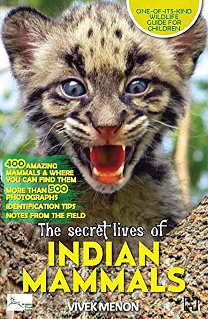 The Secret Lives of Indian Mammals
