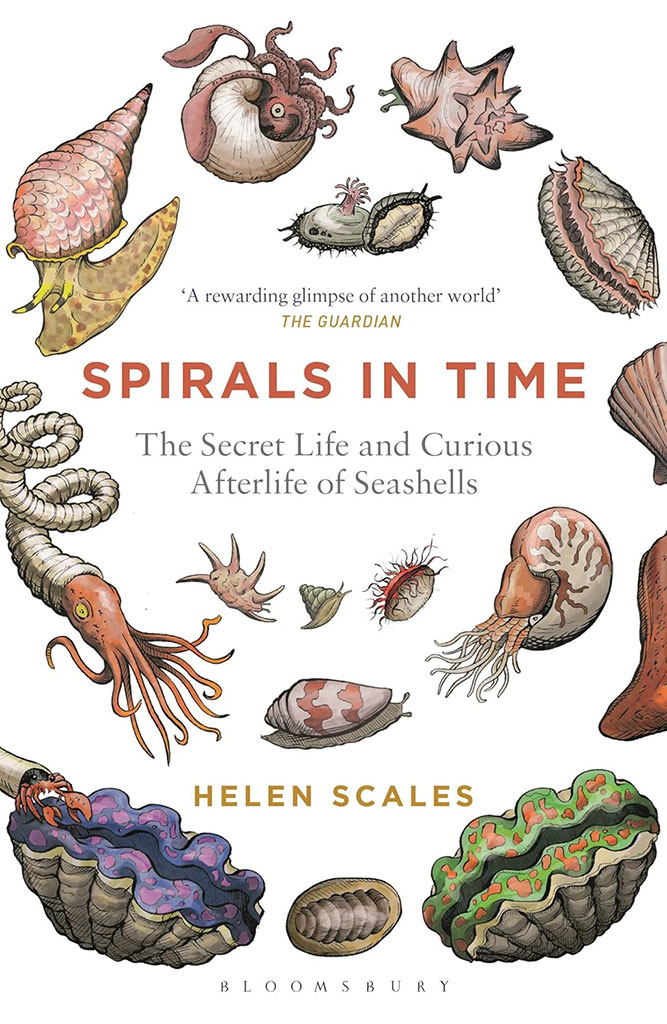 Spirals In Time : The Secret Life and Curious Afterlife of Seashells