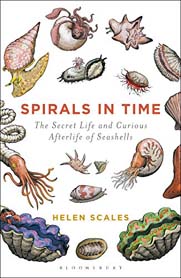 Spirals In Time : The Secret Life and Curious Afterlife of Seashells