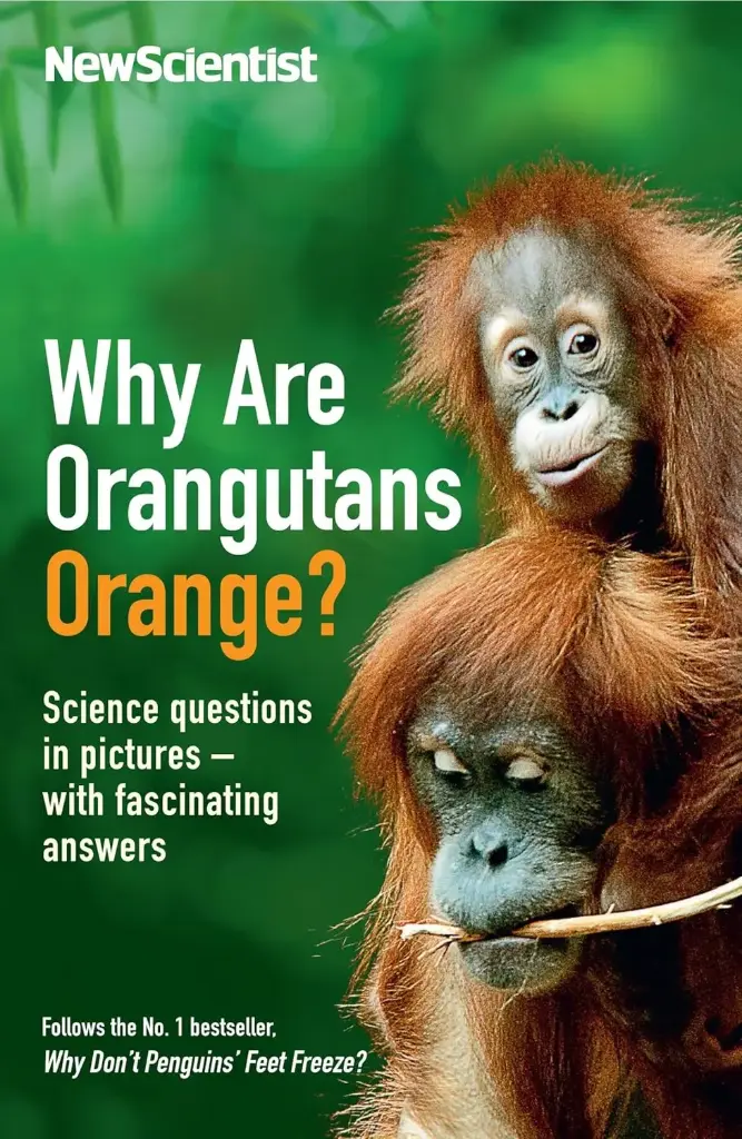 Why Are Orangutans Orange? Science Questions In Pictures With Fascinating Answers