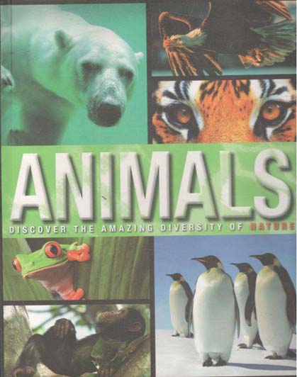 Animals : Discover The Amazing Diversity Of Nature