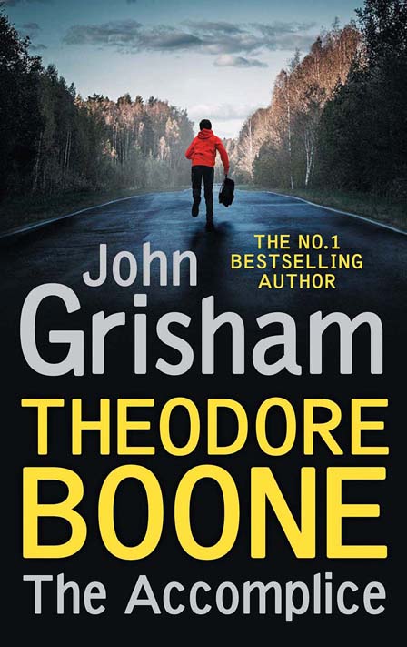 Theodore Boone : The Accomplice