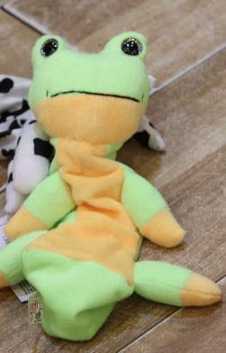 Pencil Bag (Frog)