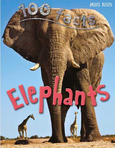 100 Facts Elephants