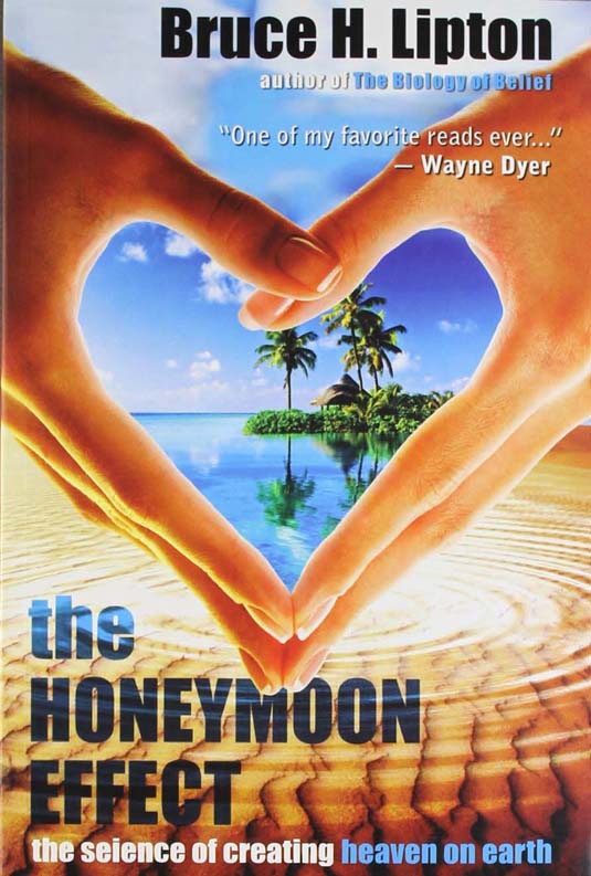 The Honeymoon Effect