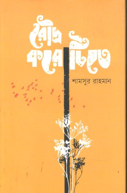 রৌদ্র করোটিতে