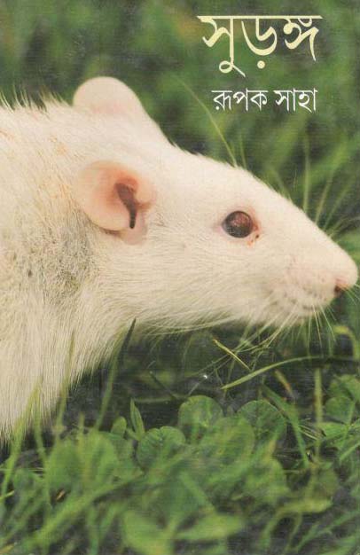 সুড়ঙ্গ