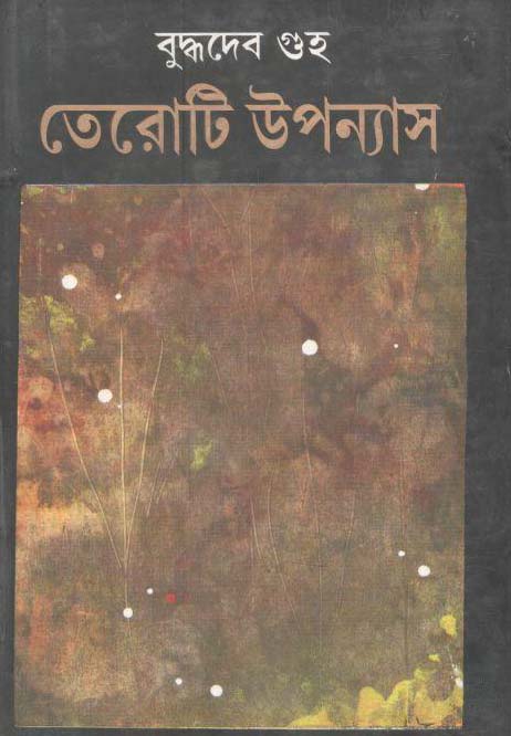 তেরোটি উপন্যাস (বুদ্ধদেব গুহ)