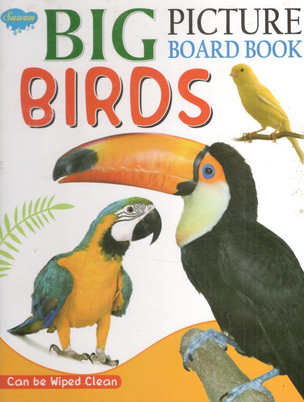 Big Picture Board Book Birds