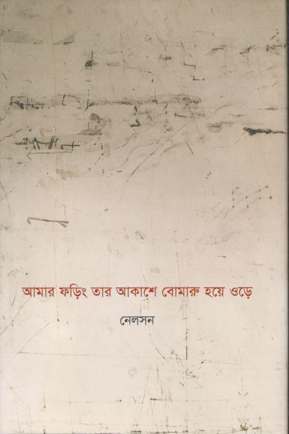 আমার ফড়িং তার আকাশে বোমারু হয়ে ওড়ে