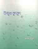 উন্মুখ বুদবুদ