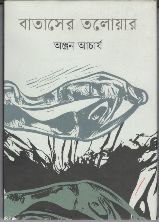 বাতাসের তলোয়ার