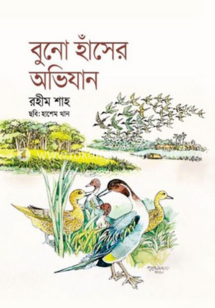 বুনো হাঁসের অভিযান