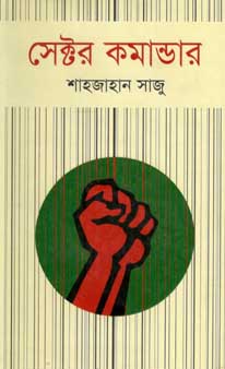 সেক্টর কমান্ডার