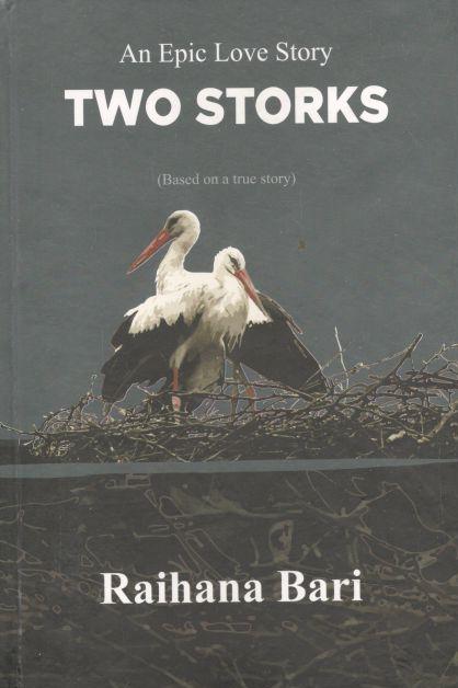 Two Storks : An Epic Love Story