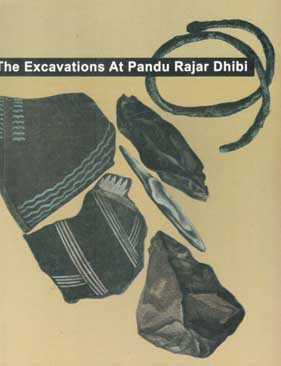 The Excavations At Pandu Rajar Dhibi