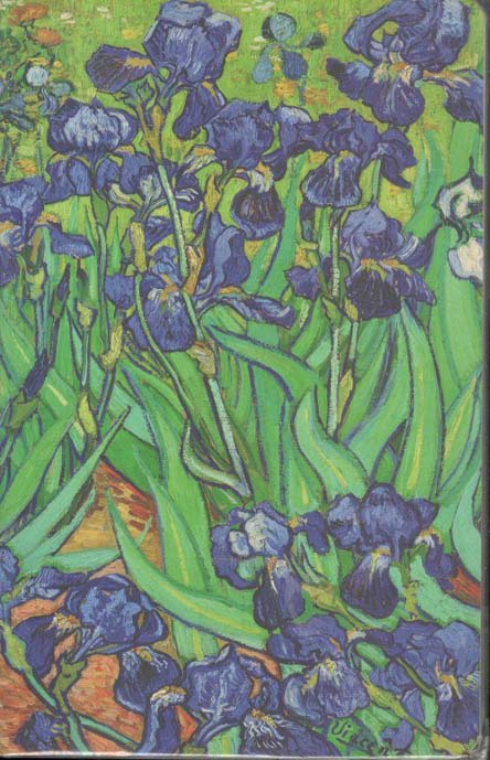 SEVENDAYS NOTES : Irises