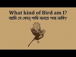 আমি সে কোন পাখি বলতে পার নাকি?