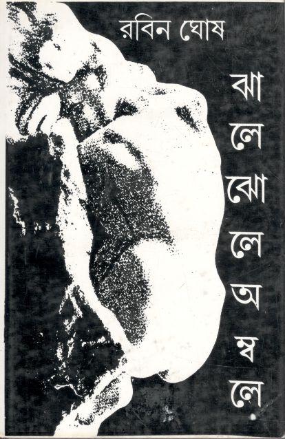 ঝালে ঝোলে অম্বলে
