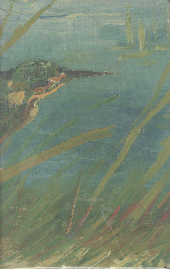 SEVENDAYS NOTES : The Kingfisher