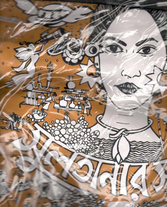 কুশন ব্যাগ : সুলতানার স্বপ্ন