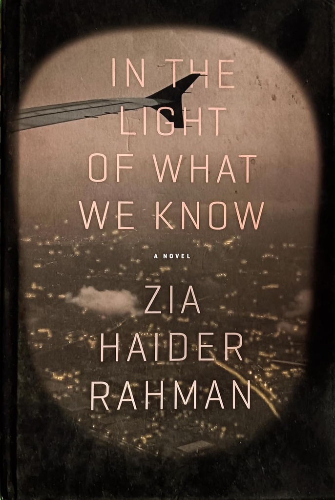 In The Light Of What We Know (Picador)