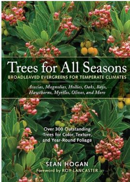 Trees for All Seasons : Broadleaved Evergreens for Temperate Climates 