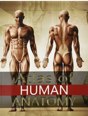 Atlas of Human Anatomy
