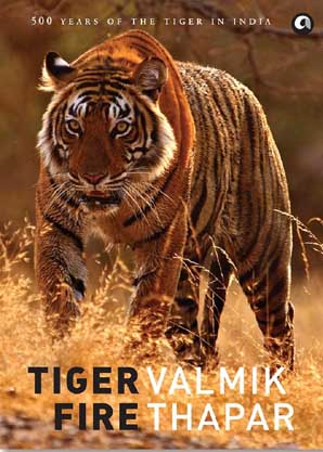 Tiger Fire