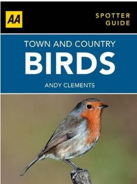 Town & Country Birds