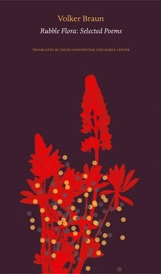 Rubble Flora : Selected Poems (HB)