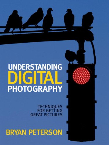 Understanding Digital Photography : Techniques For Getting Great Pictures