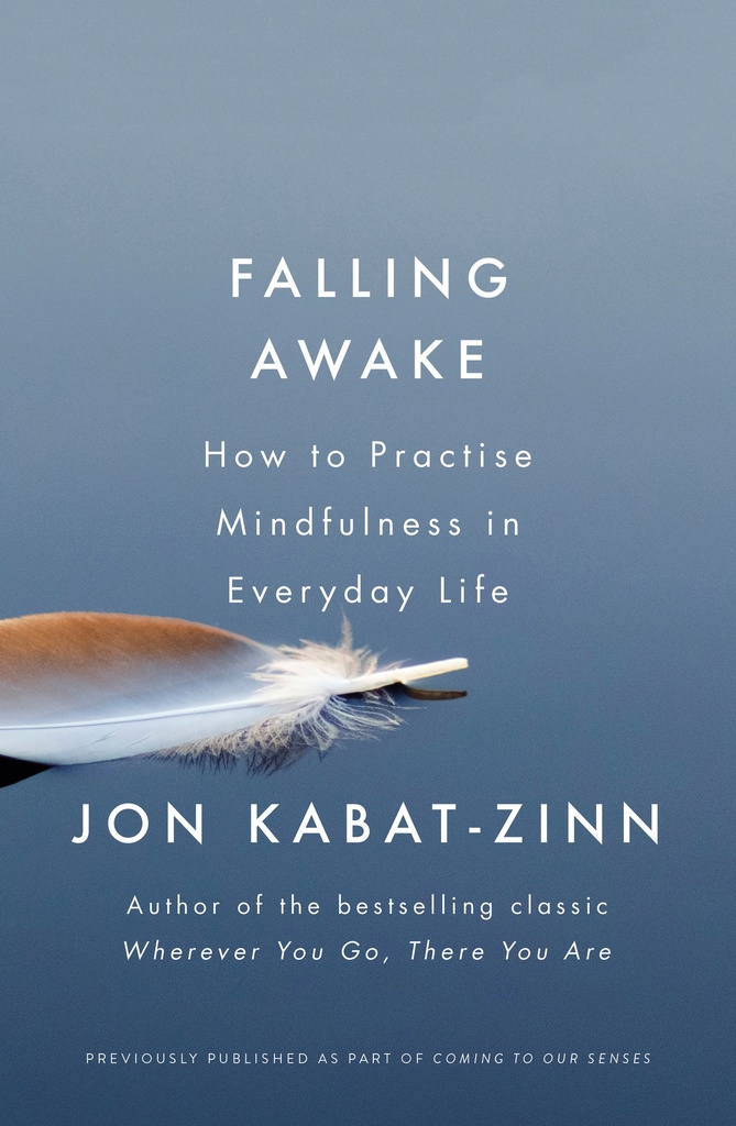 Falling Awake : How To Practise Mindfulness In Everyday Life