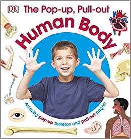 The Pop-up, Pull-out Human Body (DK)