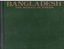 Bangladesh : The Mosaic In Green