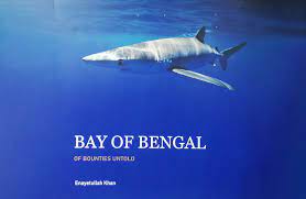 Bay Of Bengal : Of Bounties Untold