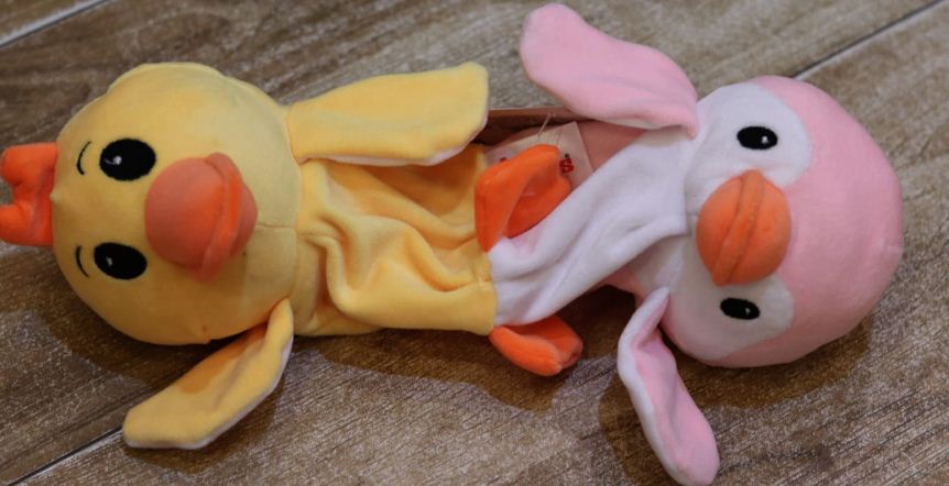 Reversable Penguine & Duck