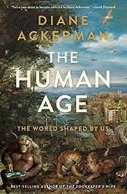 The Human Age : The World Shaped By US