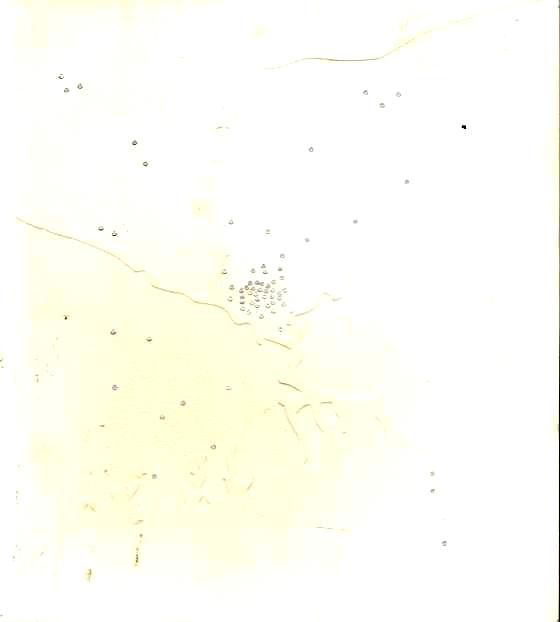 Architecture in a Changing Landscape