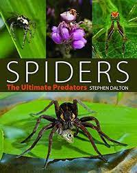 Spiders : The Ultimate Predators