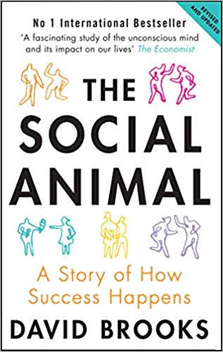 The Social Animal : A Story of How Success Happens