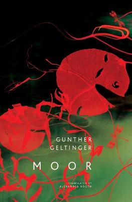 [9780857423689-1] Moor (HB)