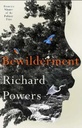 Bewilderment
